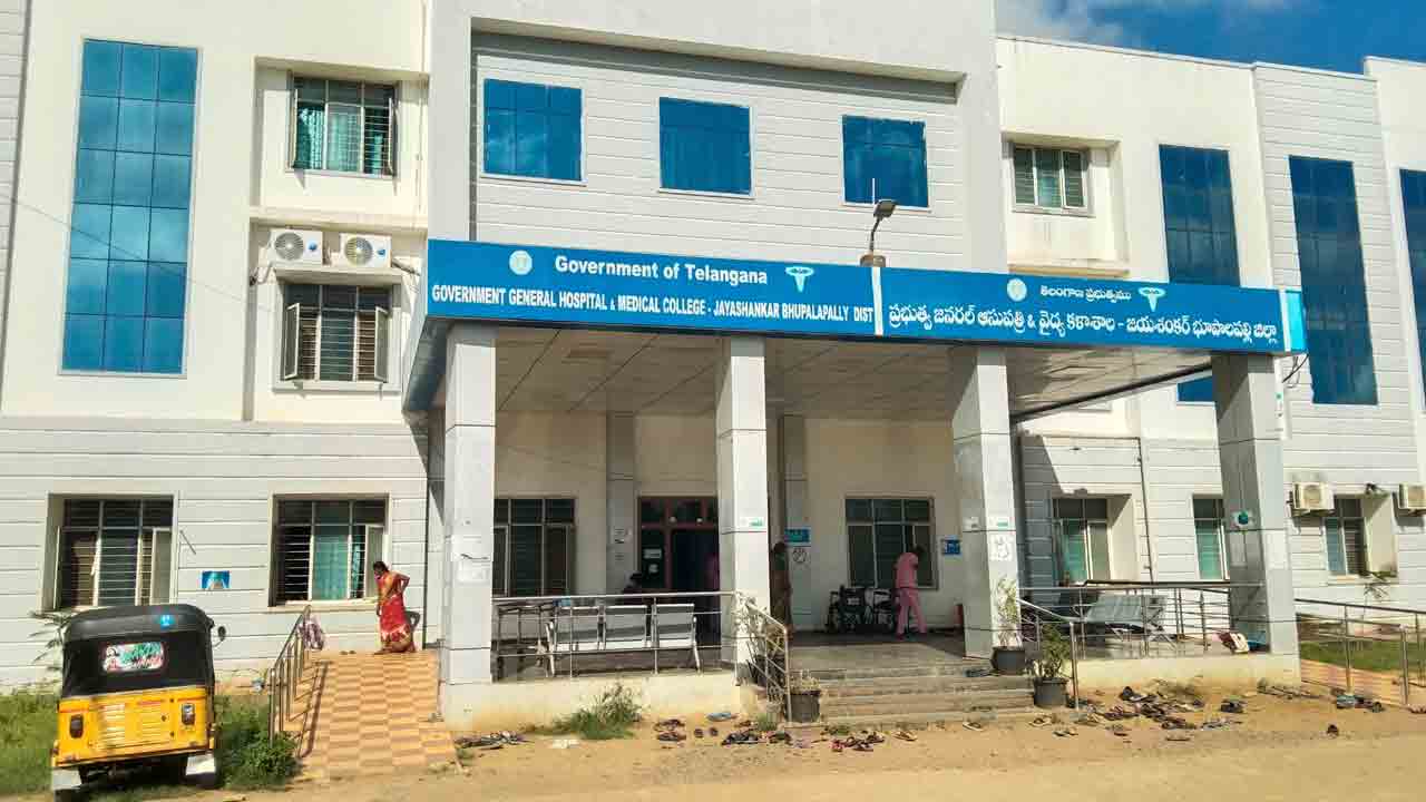 సర్వర్‌ డౌన్‌ వైద్యసేవలు ఆలస్యం