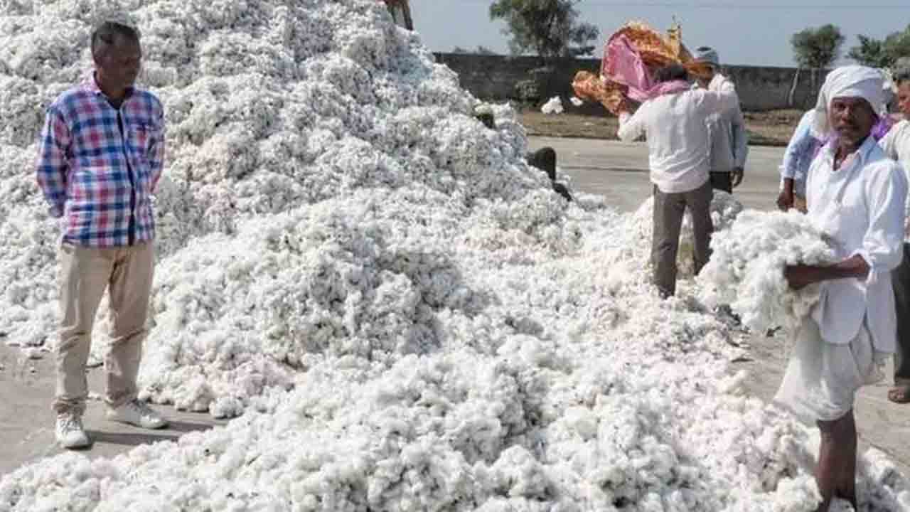 పత్తి కొనుగోళ్లు జరిగేనా?