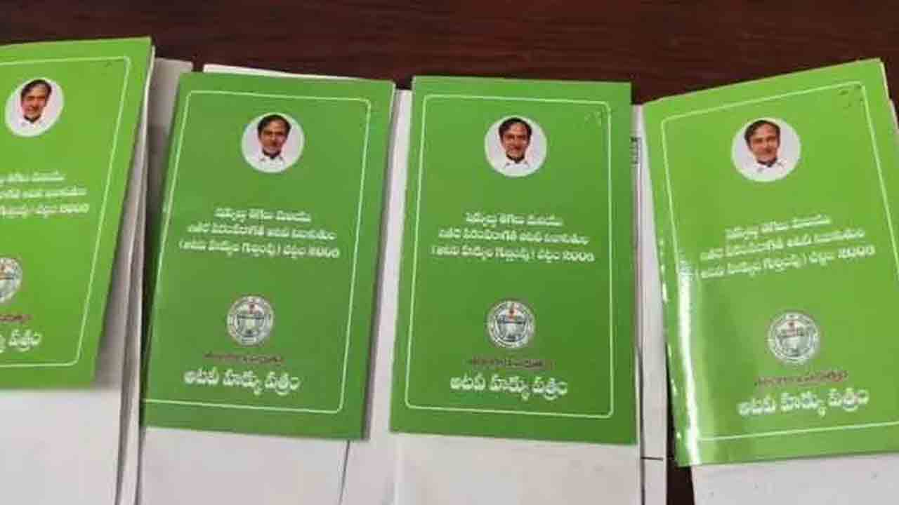 నకిలీ పట్టాల దందా పెద్ద స్కామ్‌