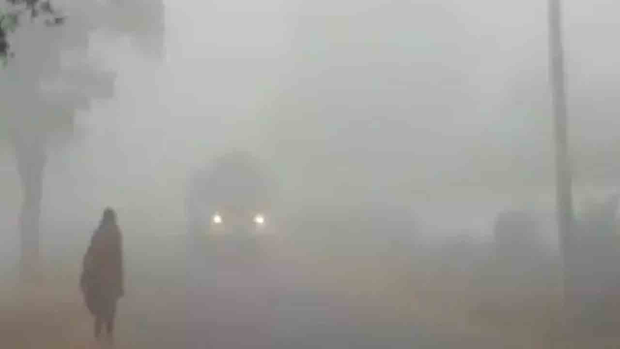 ఈసారి ఇగం కాస్త తక్కువే