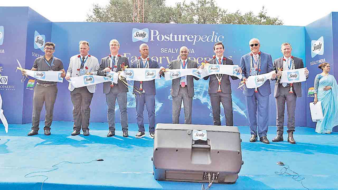 హైదరాబాద్‌లో సీలి పరుపుల ప్లాంట్‌