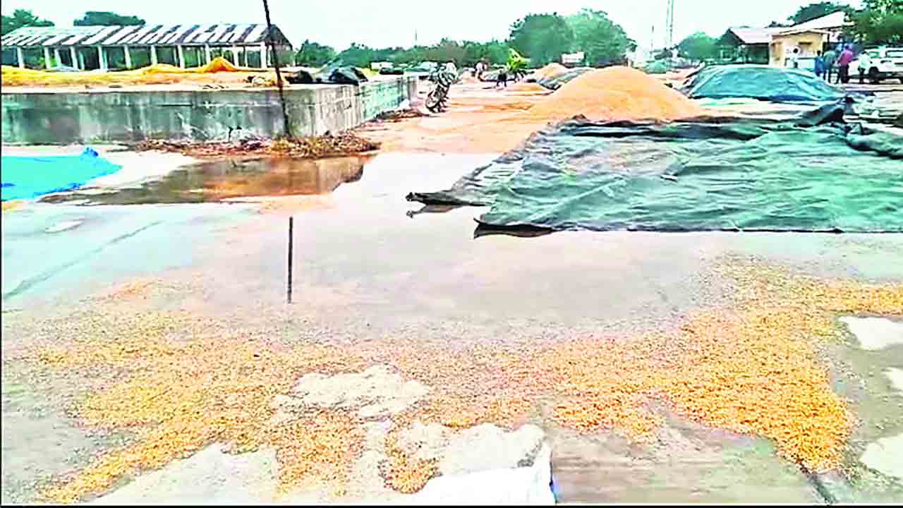 అకాల వర్షం