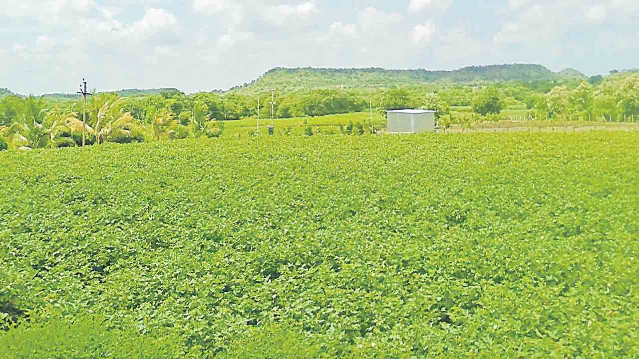 డప్పూరు రైతుల పోరుబాట