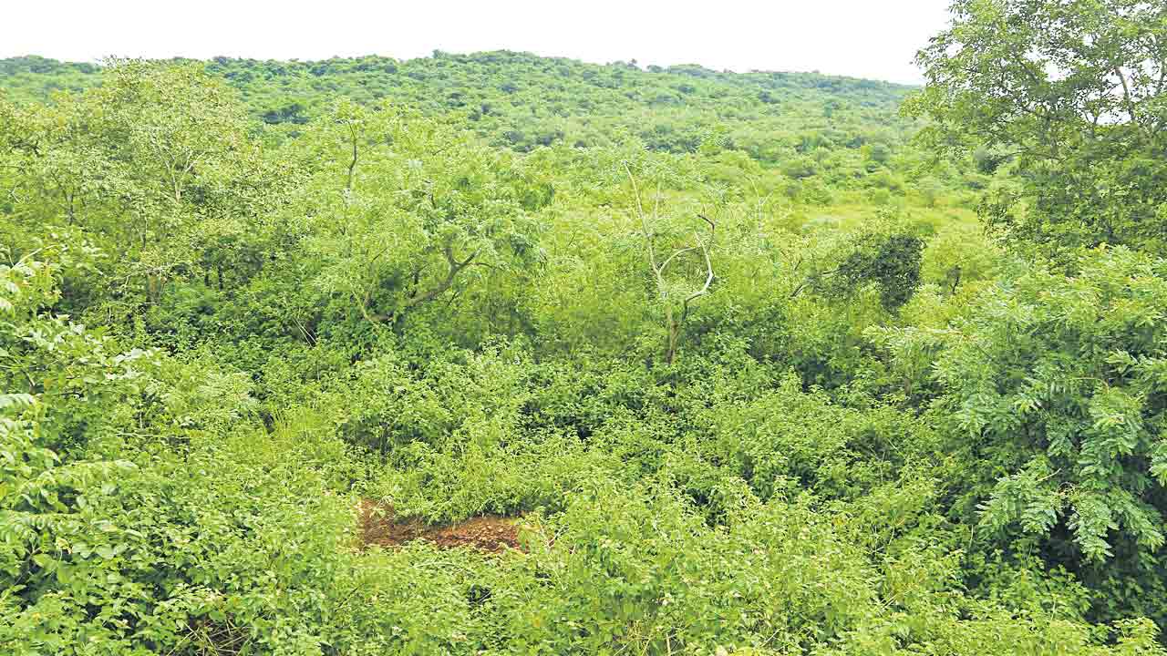 Damagundam | రాడార్‌ ఆపకుంటే రణరంగమే.. ప్రాజెక్టు ఆపేదాకా పోరాడుతామంటున్న స్థానికులు