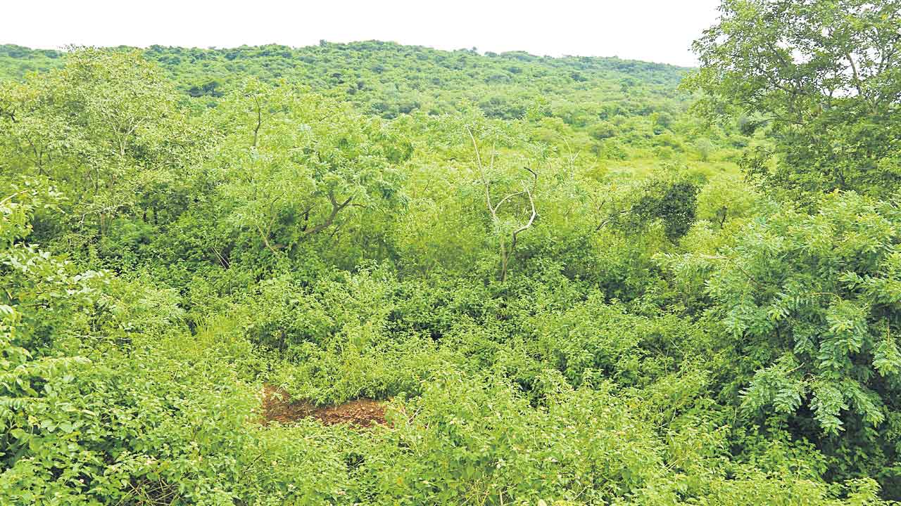 రాడార్‌ ఆపకుంటే రణరంగమే..