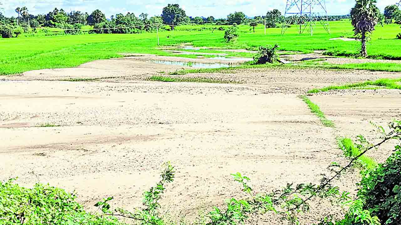 సీఎం హామీ ఇచ్చినా.. సాయం అందలే !