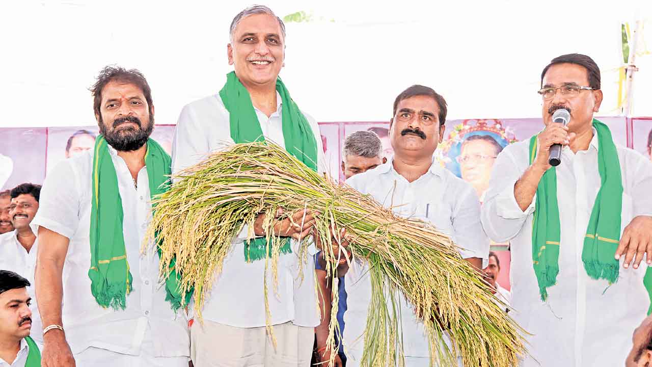 Harish Rao | పోరాడుదాం.. పొగబెడుదాం.. ఏ ఎన్నిక వచ్చినా కాంగ్రెస్‌ను పాతరేద్దాం: హరీశ్‌రావు