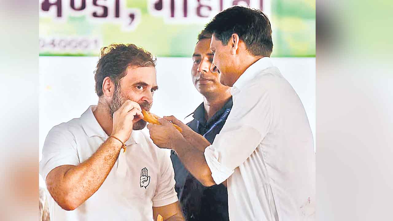 హర్యానా ఎన్నికల్లో కాంగ్రెస్‌ ఘోర ఓటమి.. ట్రెండింగ్‌లోకి వచ్చిన జిలేబీ