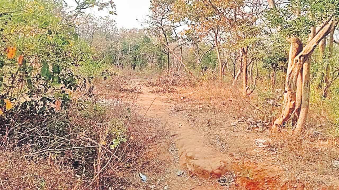 మహానగరం చెత్తకంపు మాకొద్దు !