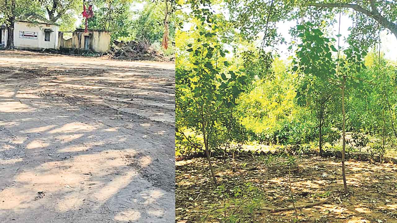 Palle Prakruthi Vanam | కాంగ్రెస్‌ సర్కారు నిర్లక్ష్యం.. మాయమైన పల్లె ప్రకృతివనం