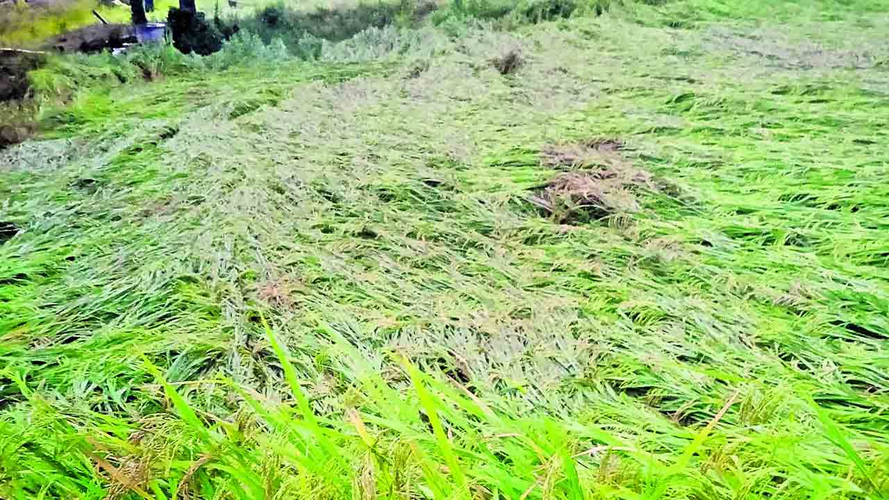 చినుకు.. వణుకు