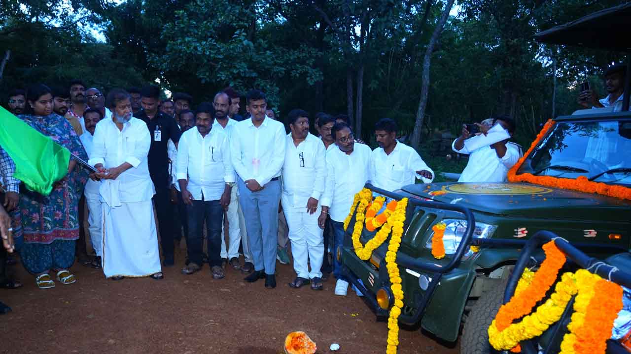 నల్లమలలో సఫారీ షురూ..