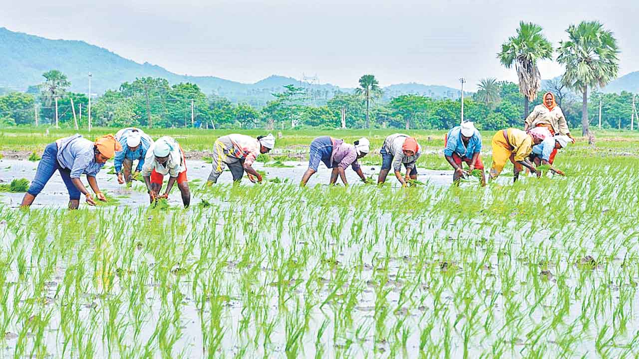 Rythu Bharosa | పత్తా లేని మంత్రుల కమిటీ నివేదిక.. యాసంగి సీజన్‌లోనూ రైతుభరోసాకు ఏగనామం!