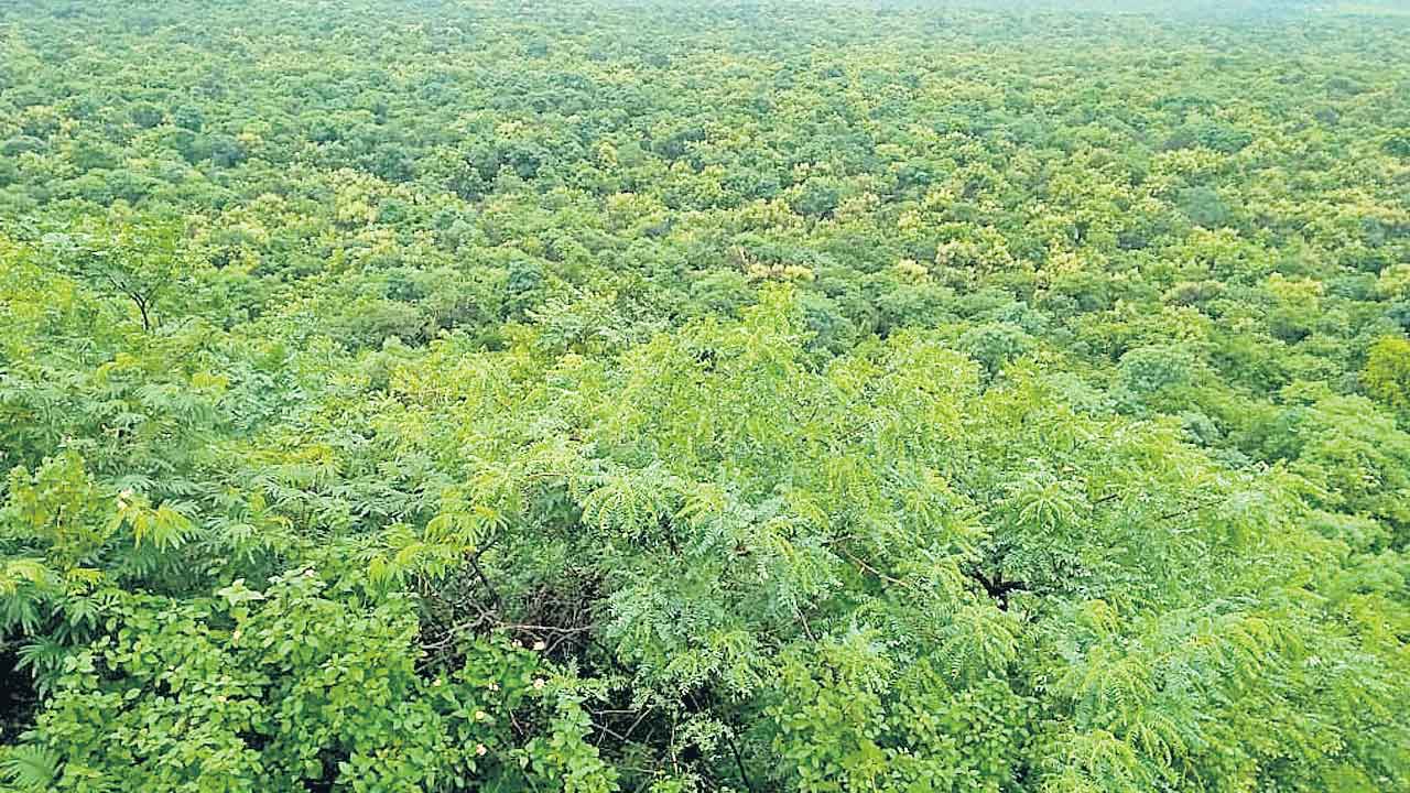 VLF Radar | అమెరికా వద్దన్న రాడార్‌.. కావాలంటున్న కాంగ్రెస్‌ సర్కార్‌!