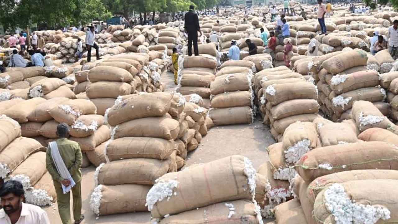 పోటెత్తిన పత్తి