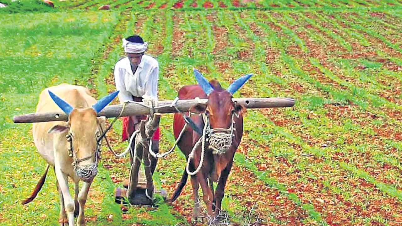 Runa Mafi | రుణమాఫీ సగమే.. స్పష్టం చేసిన ఎస్బీఐ గణాంకాలు
