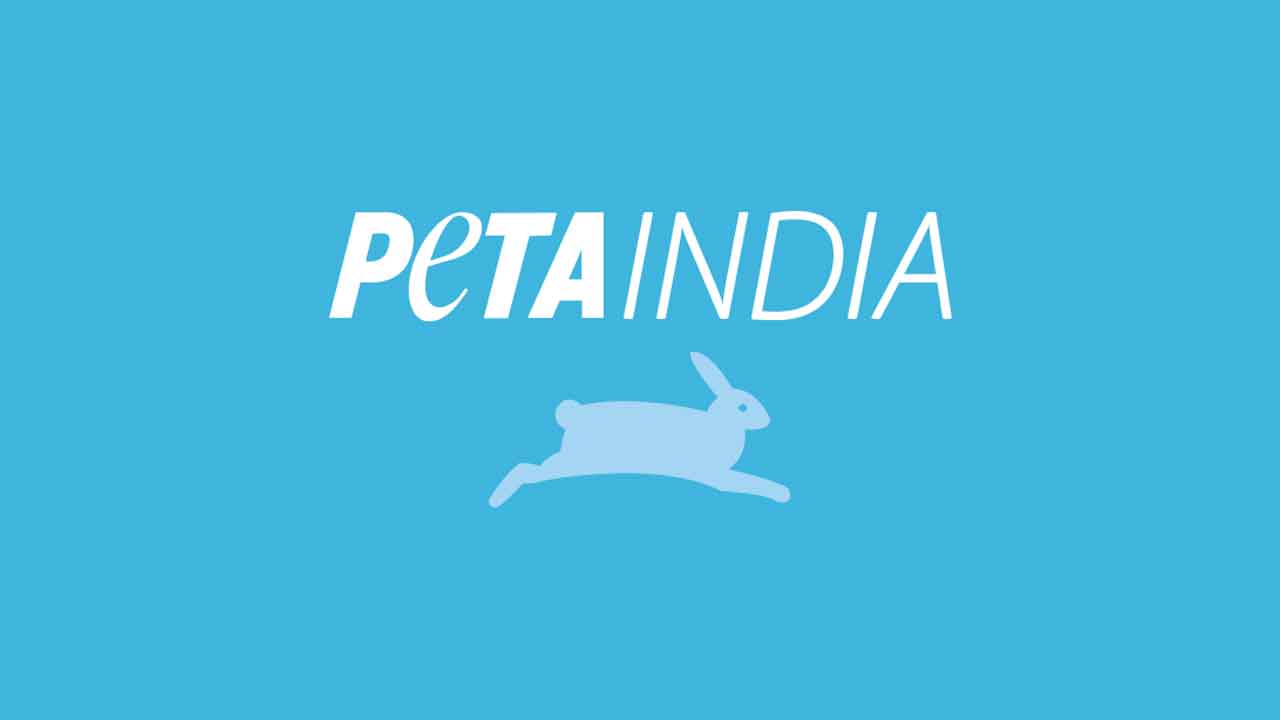 మీరు శాకాహారులా