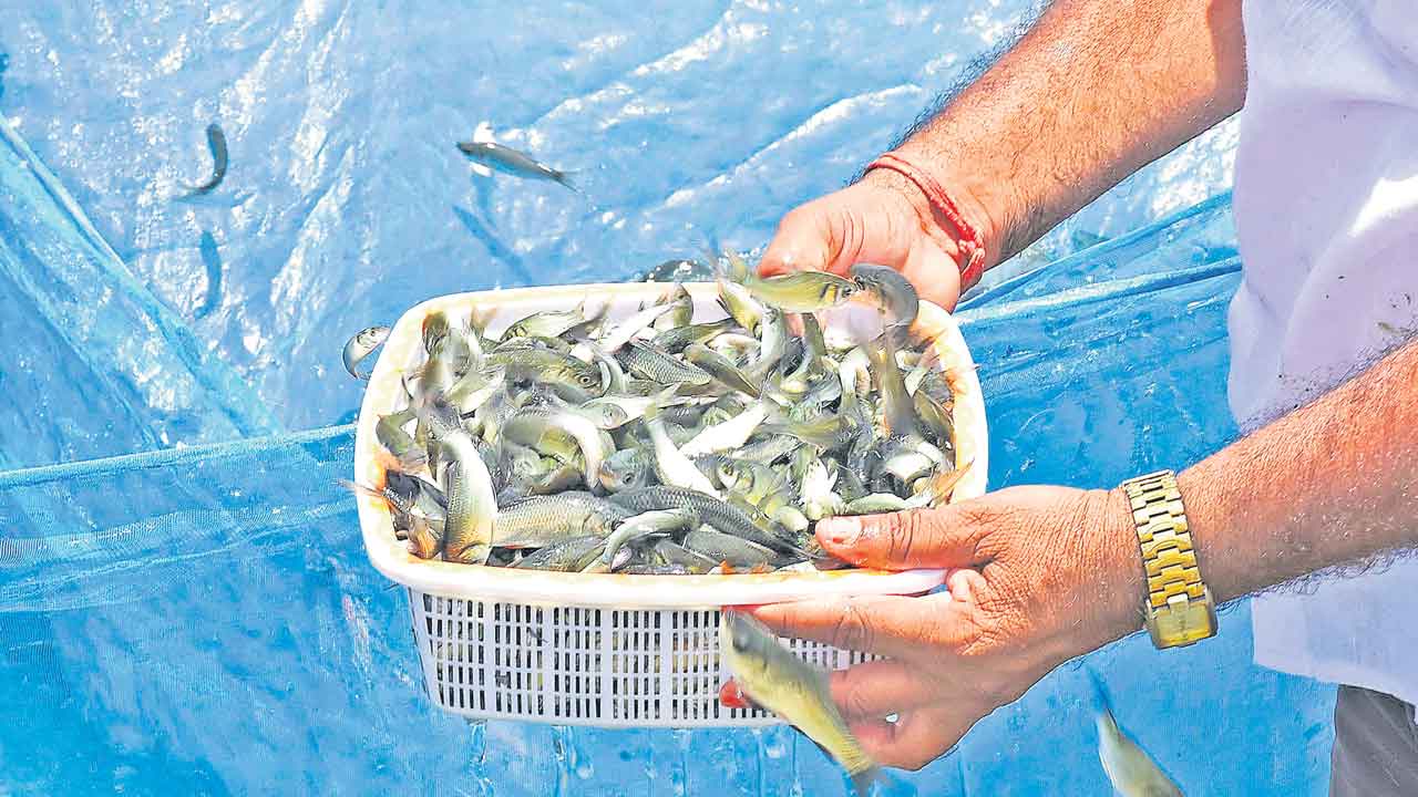 చేయిచ్చారు..