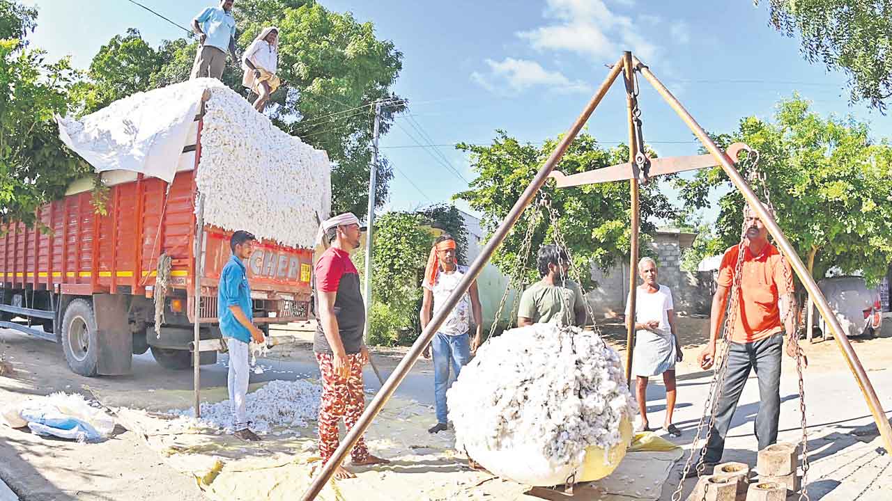 పత్తి రైతు ఆగం