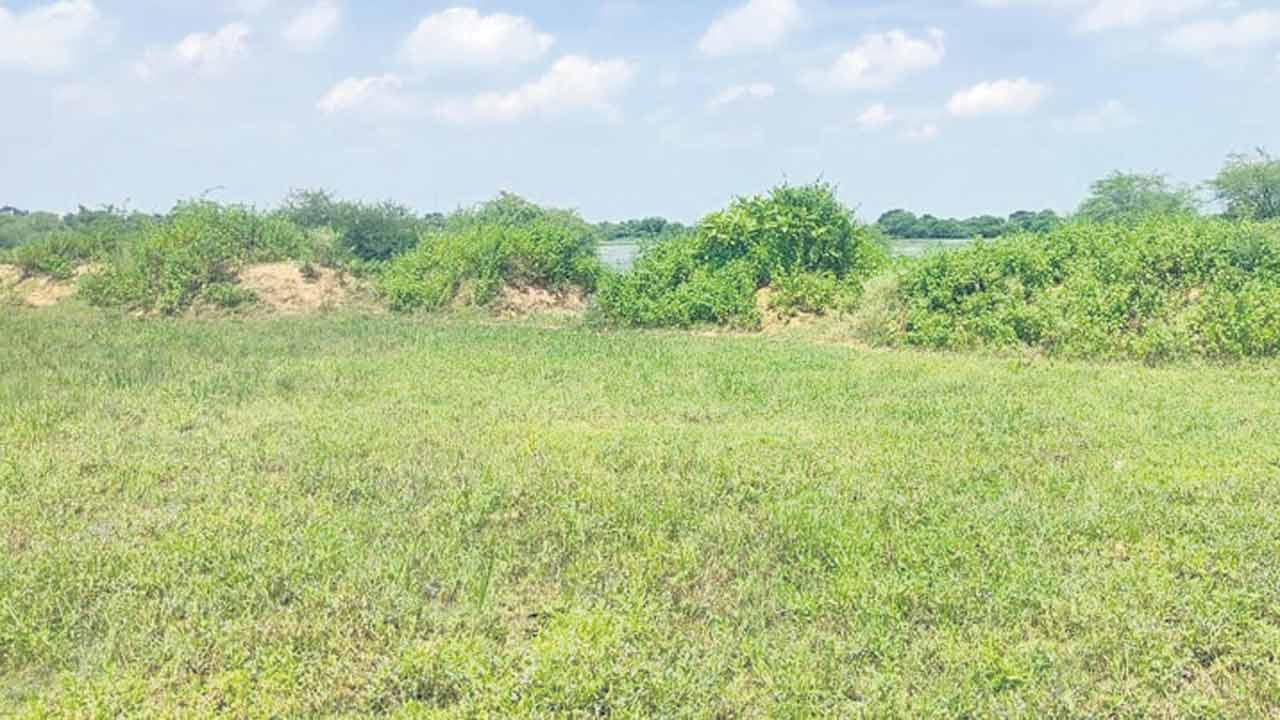 శనిగకుంటలో మట్టి తీసేదెప్పడో