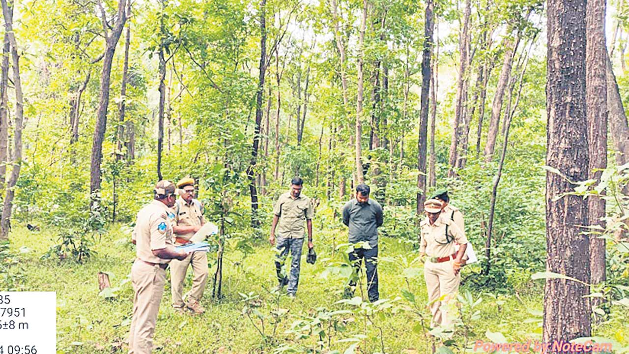 అడవుల రక్షణపై శ్రద్ధ చూపాలి