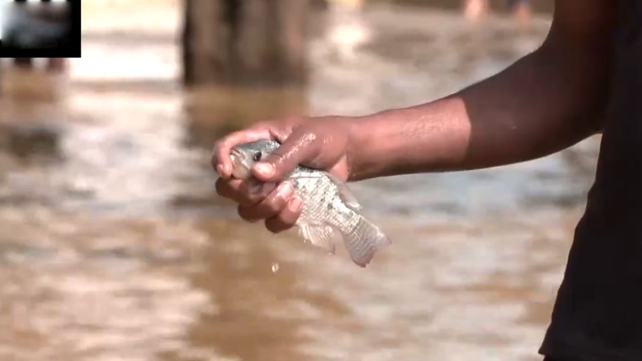 Bengaluru rain | బెంగళూరు వీధుల్లో నిలిచిన వర్షపు నీరు.. చేపలు పట్టుకుంటున్న స్థానికులు..Video