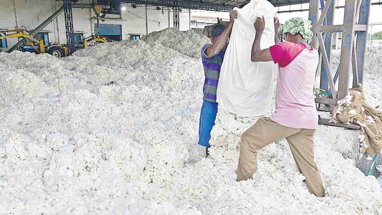 సీసీఐ జాడేది ?