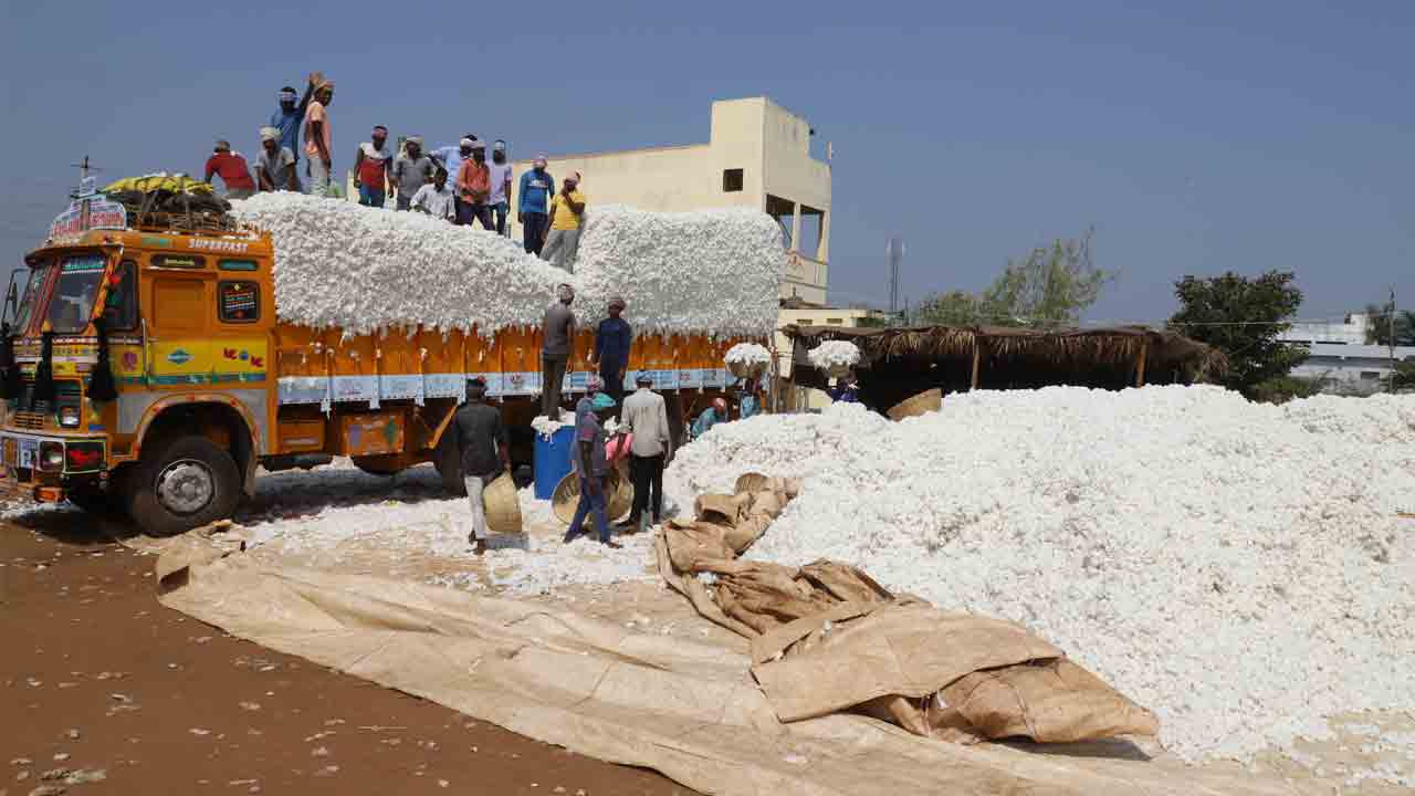 అడ్రస్‌ లేని సీసీఐ