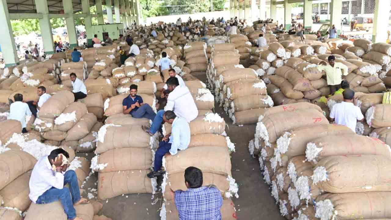 పత్తి రైతు చిత్తు