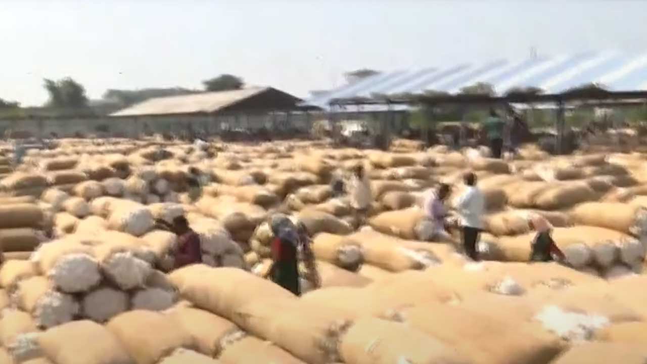 Cotton Procurement | ఖమ్మం, వరంగల్‌ మార్కెట్లకు పోటెత్తిన పత్తి.. తగ్గిన ధరలు