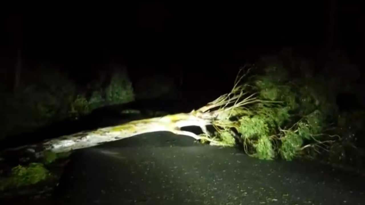 Dana Cyclone | తీరం దాటిన దానా తీవ్ర తుఫాను.. ఒడిశాలో భారీ వర్షాలు 