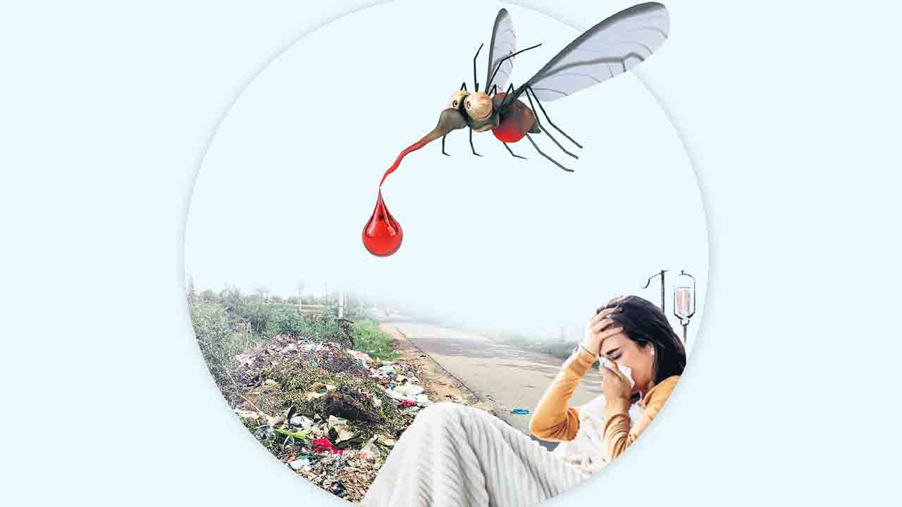 డెంగీ పంజా