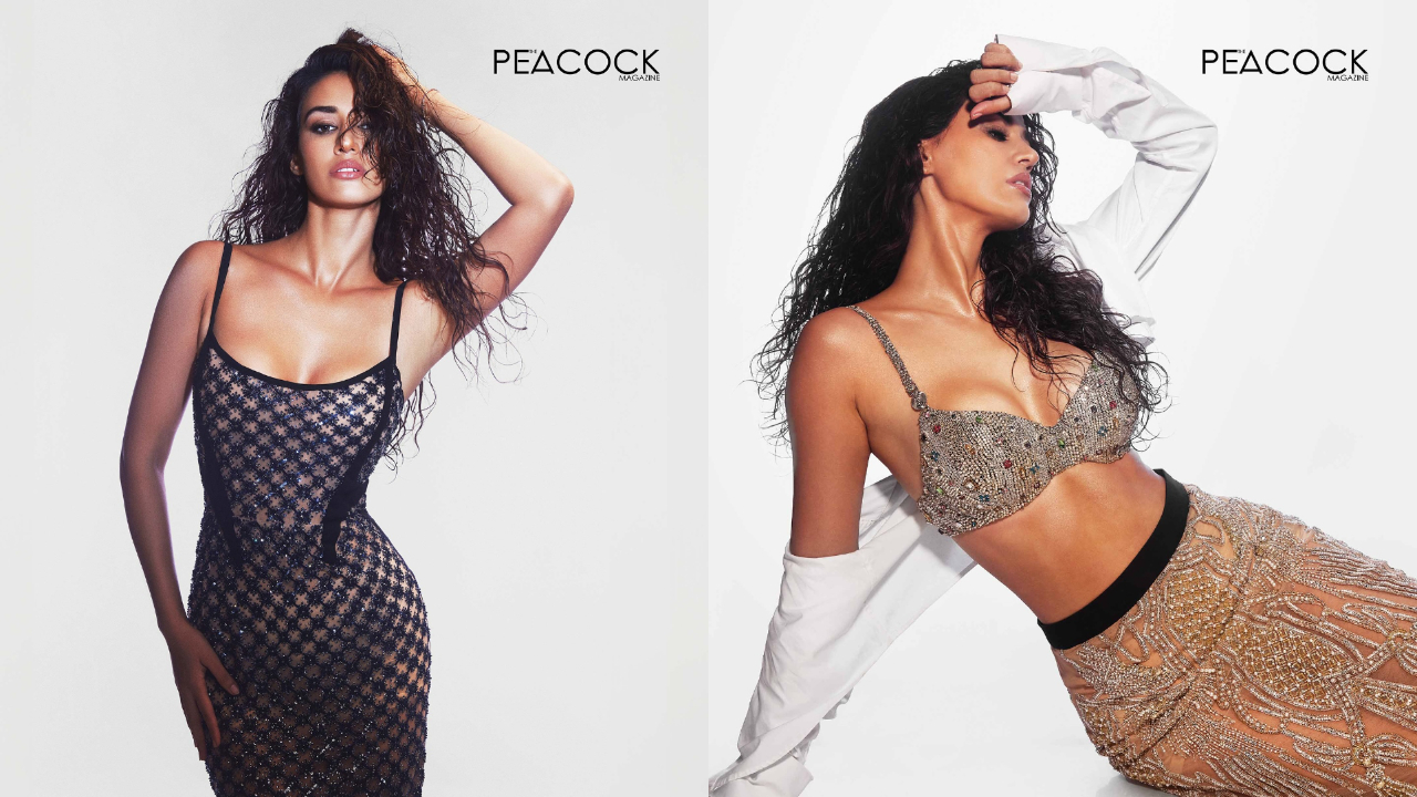 Disha Patani | బోల్డ్ షోతో మ‌తిపోగొడుతున్న‌ దిశా పటాని..