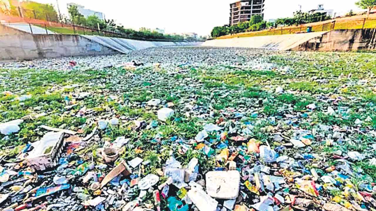 Dravyavathi Action Plan