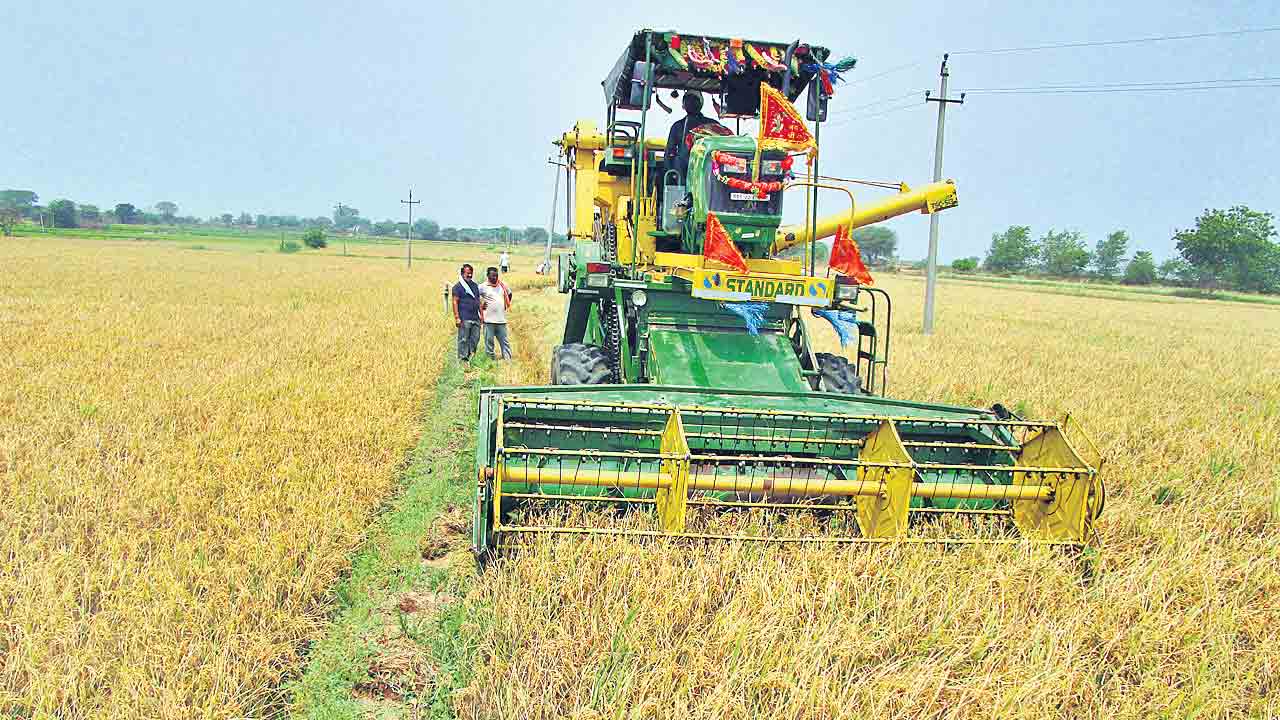 Telangana | సన్న ధాన్యానికి బోనస్‌పై కాంగ్రెస్‌ సర్కారు మరో మెలిక..