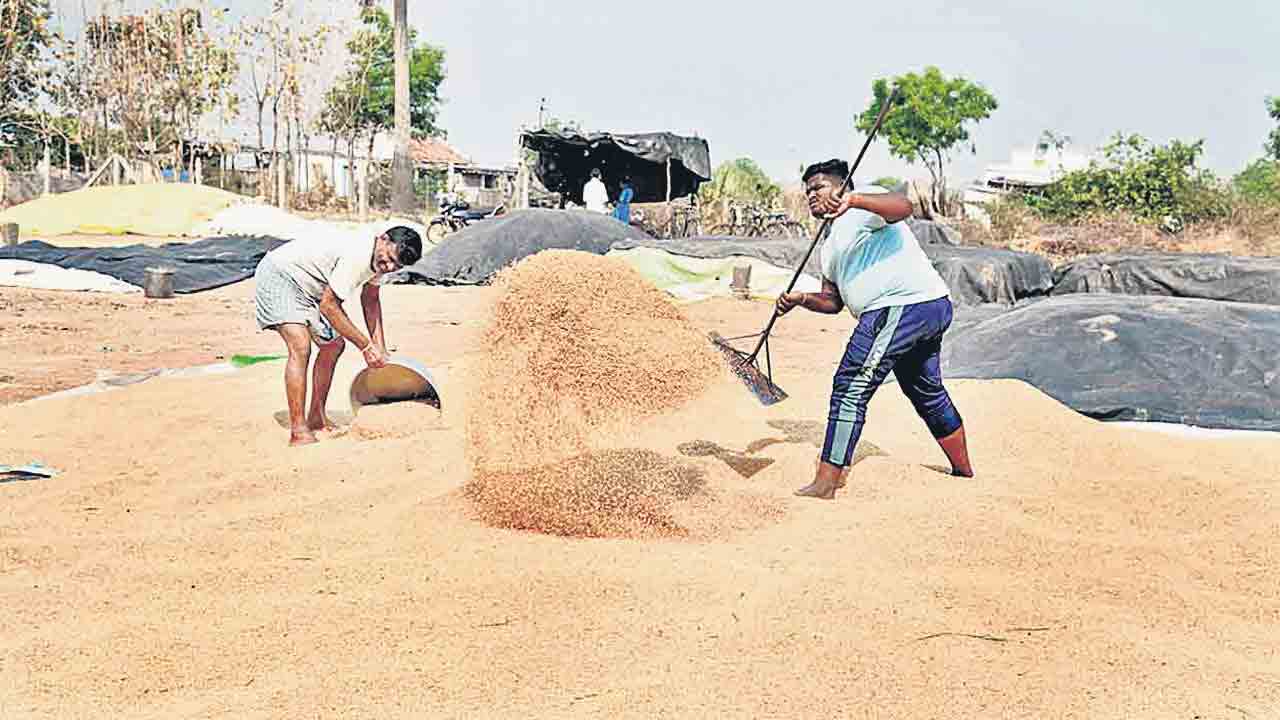 Paddy Procurement | ఈ సీజన్‌లోనూ రైతులకు ఇబ్బందులు తప్పేలా లేవు.. పాలసీయే లేదు కొనుగోళ్లు ఎట్ల?