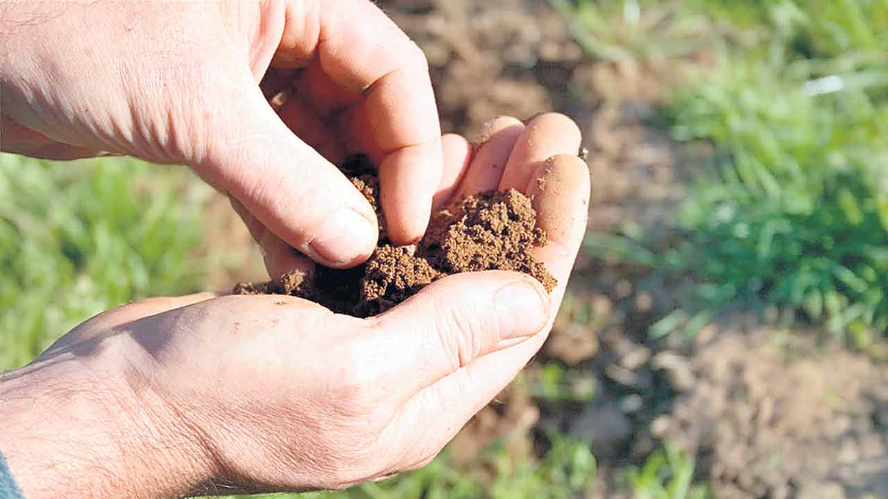 నేలసారం.. పంటకు ప్రాణం