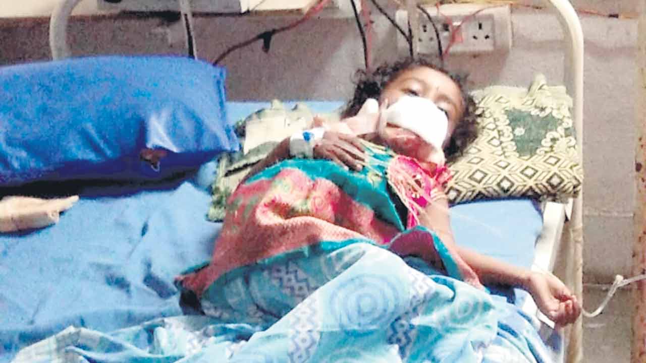 ఆరుగురిపై పిచ్చికుక్క దాడి