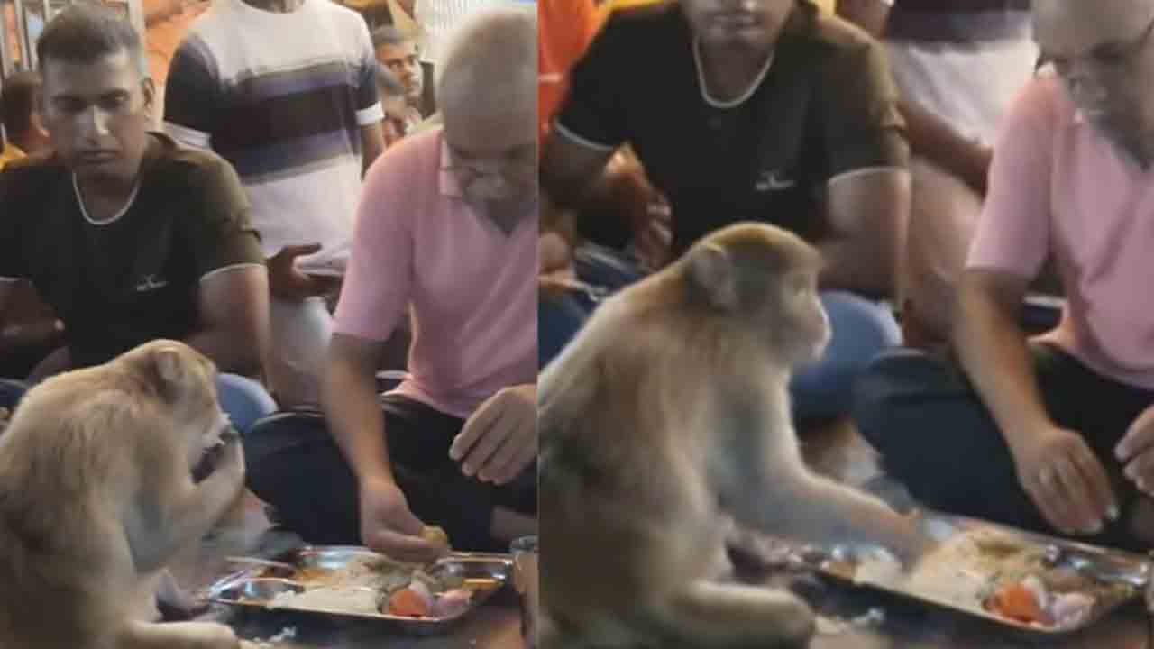 Watch: భోజనం చేస్తున్న వ్యక్తి వద్దకు కోతి.. ఆ తర్వాత ఏం జరిగిందంటే?