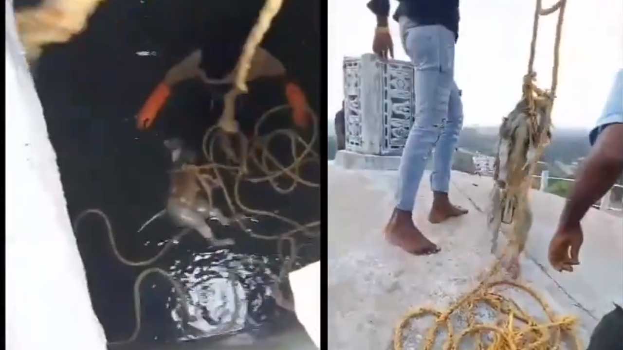 Mission Bhagiratha | మిషన్ భగీరథ వాటర్ ట్యాంకులో కోతి కళేబరం.. వారం రోజులుగా..