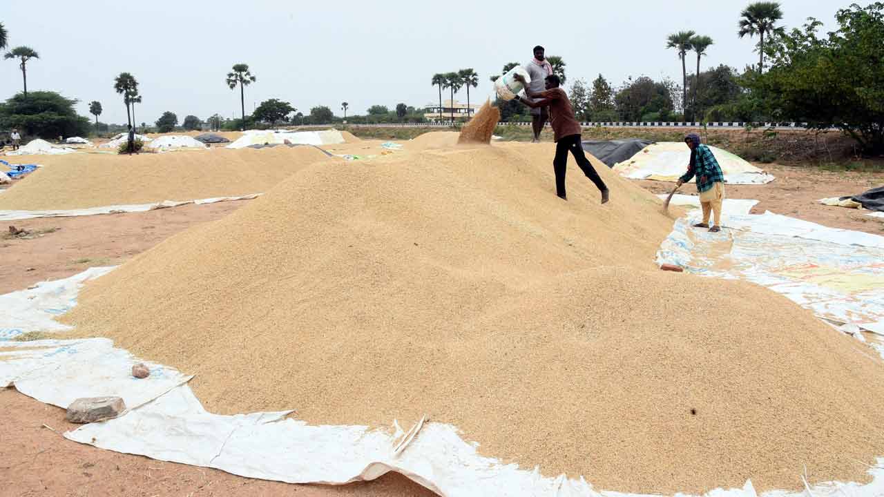 ధాన్యం కొనుగోళ్లపై సందిగ్ధం