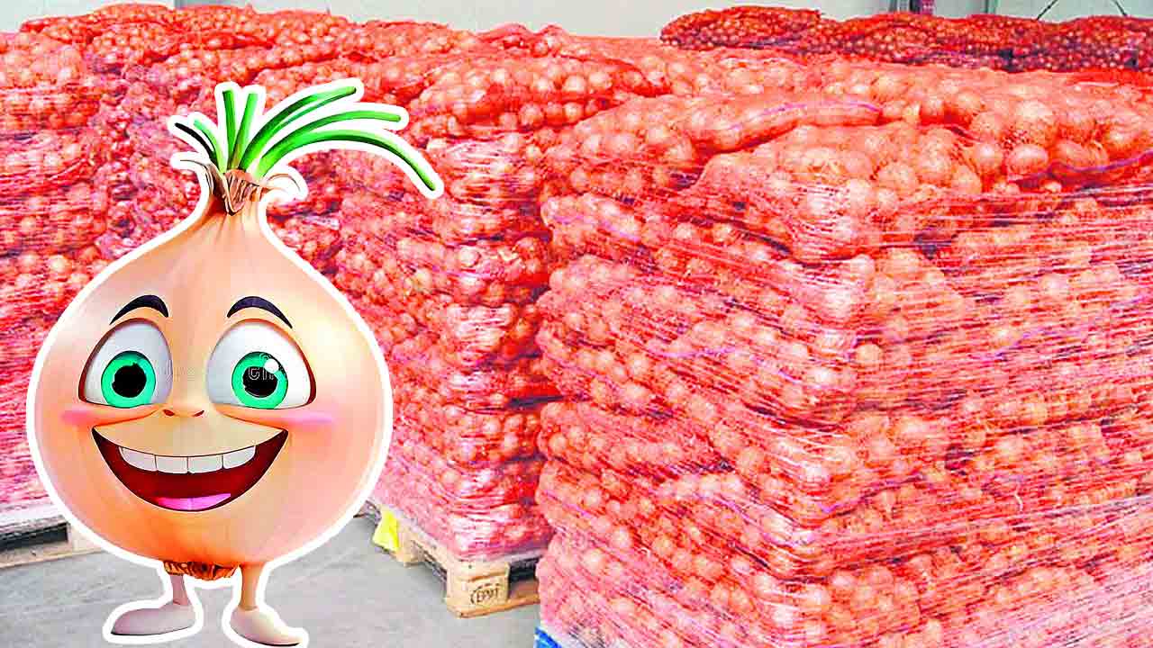 ఉల్లి..దిగి రావే తల్లి