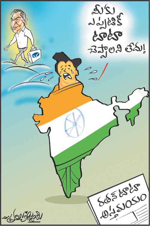Pocket Cartoon