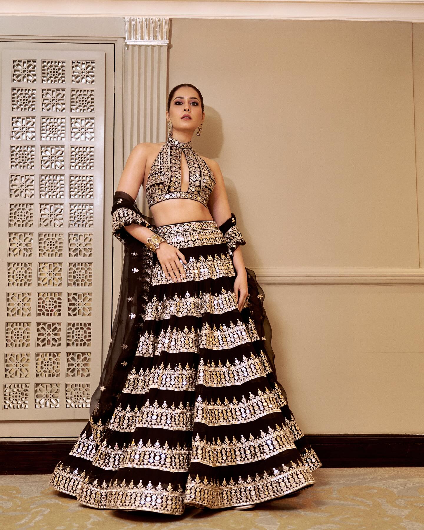 Raashii Khanna (2)