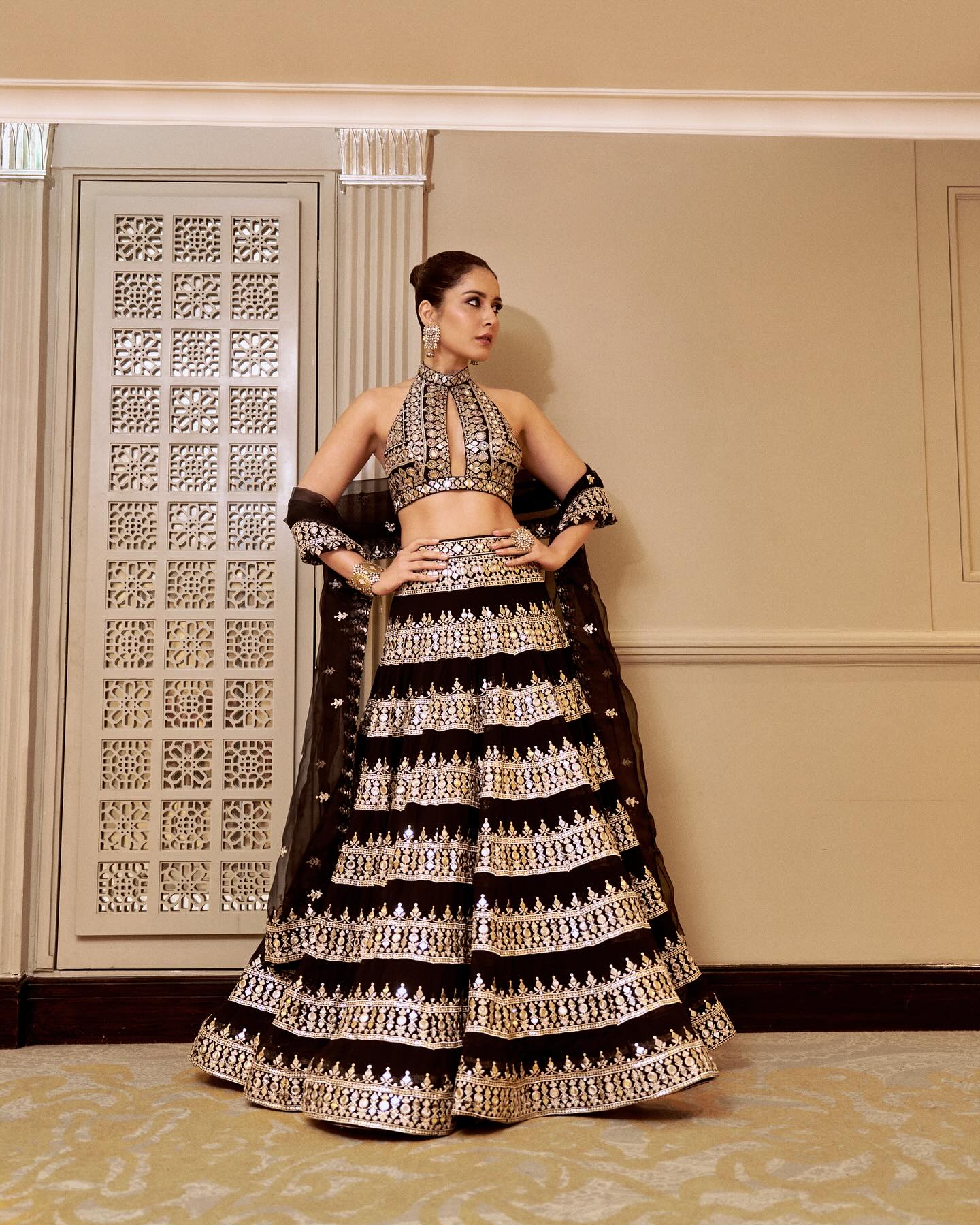 Raashii Khanna (3)