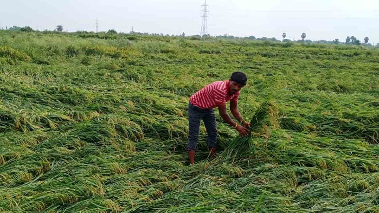 కష్టం కన్నీటిపాలు
