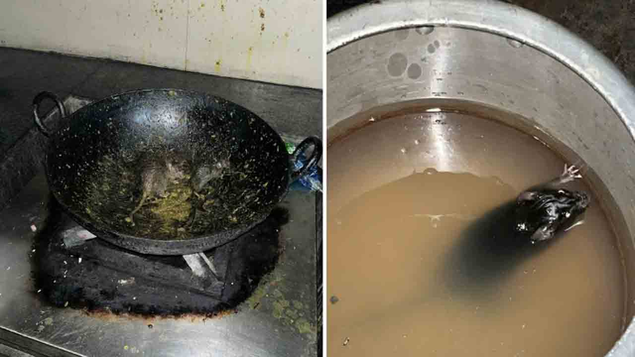 IIT Roorkee | ఐఐటీ రూర్కీ మెస్‌లోని ఆహారంపై ఎలుకలు.. వీడియోలు షేర్‌ చేసిన స్టూడెంట్స్‌