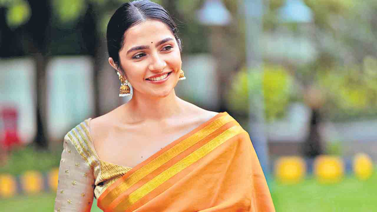 ఇదే నిజమైన దీపావళి