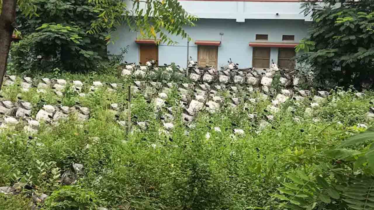 Scooters Turning To Scrap | బాలికల కోసం స్కూటర్లు కొనుగోలు.. పంపిణీ చేయకపోవడంతో స్క్రాప్‌గా   మారుతున్న వైనం