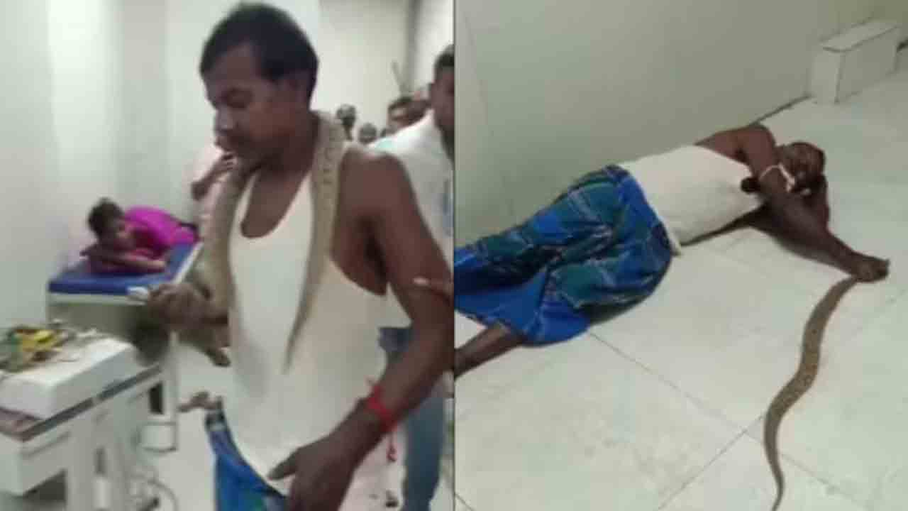 Snake | కాటేసిన పాముతో ఆసుపత్రికి వచ్చిన వ్యక్తి.. వీడియో వైరల్‌